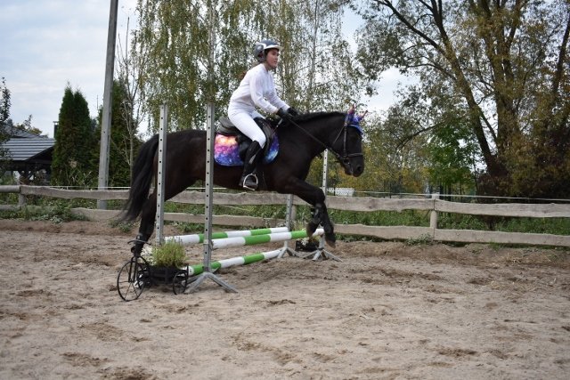 bABIE lATO 2018